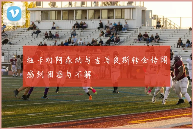 纽卡对阿森纳与吉马良斯转会传闻感到困惑与不解